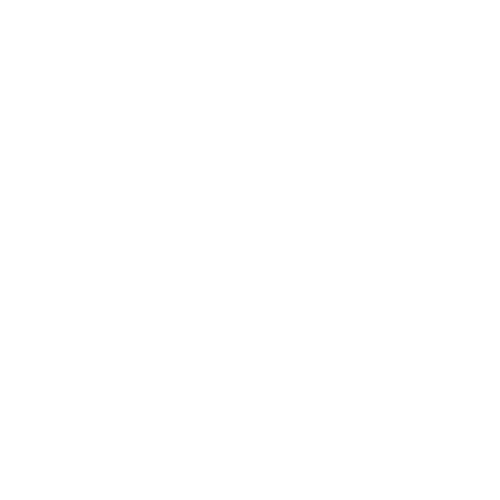 Culture Match Logo